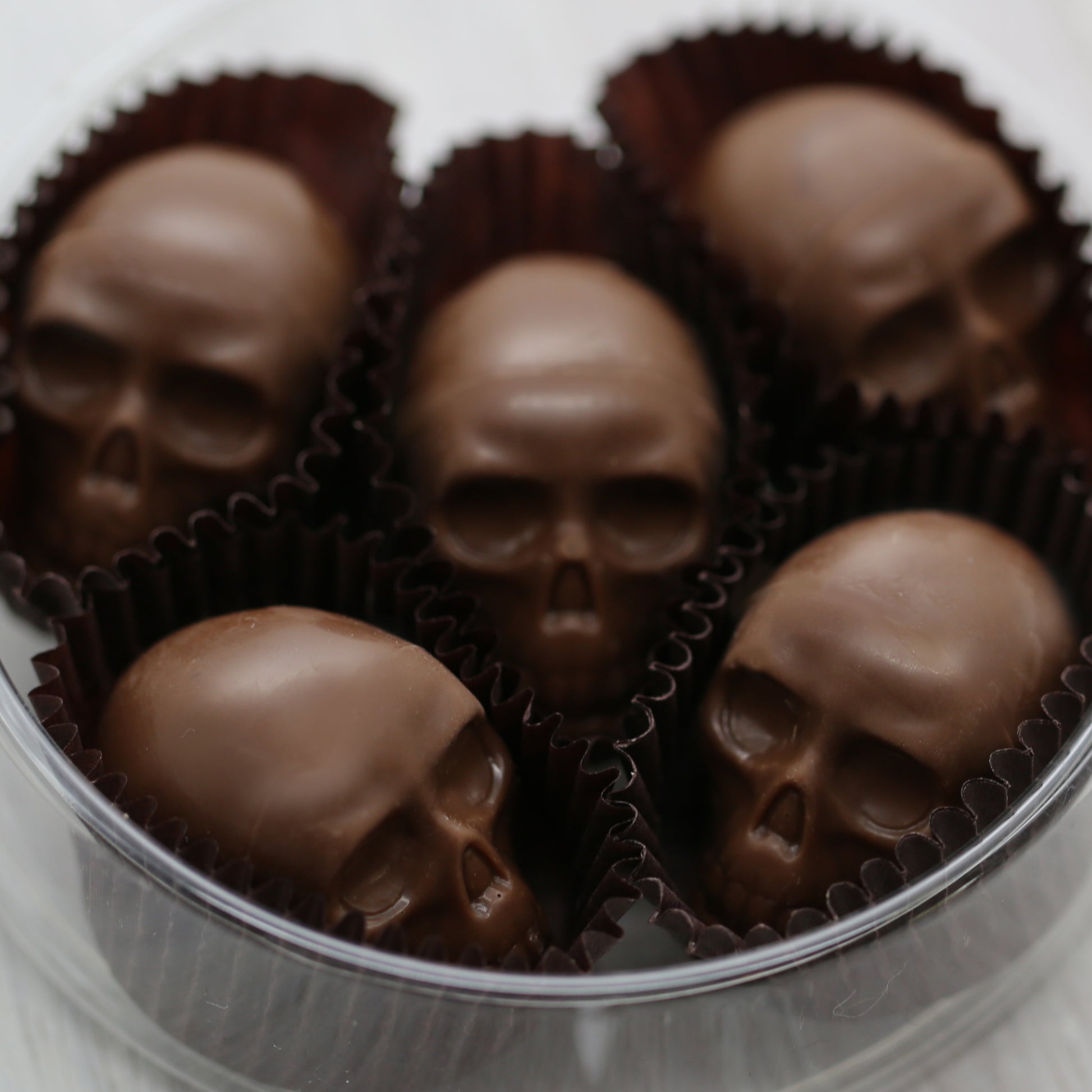 Five milk chocolate skulls sit in an open, plastic, container